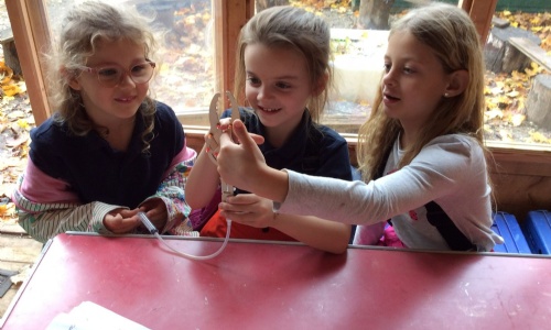 News » Year 3 Pneumatics